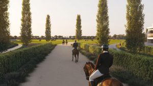 Grand Polo project gallery
